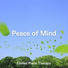 Relaxing BGM Project