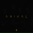 HVNDS feat. Amuly