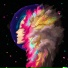 eLeuVe