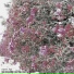 Negative, Dius