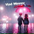 Vlad Mineev