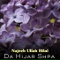 Najeeb Ullah Hilal