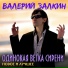 Залкин Валерий