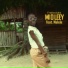 Fredjestudio feat. Nalele