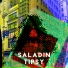 SALADIN