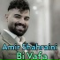 Amir Shahraini