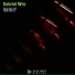 Gabriel Wnz