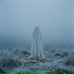 Hollow Shroud