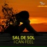 Pulsedriver & Sal De Sol