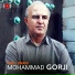 Mohammad Gorji