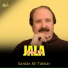Sardar Ali Takkar