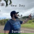 Dangel
