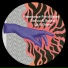 Bobuu, Sensu