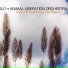 ALO (Animal Liberation Orchestra)