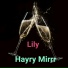 Hayry Mirrr