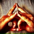 Defwood