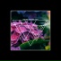 SLAKE