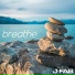 Jfab, Jason Fabus