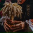 Olexandr Ignatov