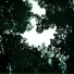 SOULOC8