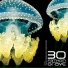 30 Fathom Grave