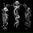 SCRIPTZ, Jon T