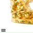 King Kym, King Push