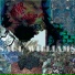 Saul Williams