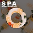Unforgettable Paradise SPA Music Academy