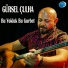 Gürsel Çulha