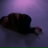 ГУДРОН