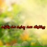 Amin Ullah Marwat