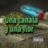 YONKI RDZ