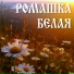 АРТ-ГРУППА LARGO