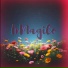 InMagiCo