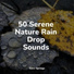 Entspannungsmusik Meer, Rain Recorders, Baby Sleep