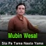 Mubin Wesal