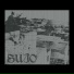 Sujo