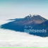 Lightseeds