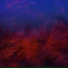 Céu de Vênus