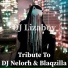 DJ Lizaboy