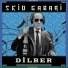 Seid Gabari
