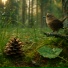 Sommnia, Звуки Природы, Серия звуков природы