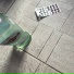 королевский XVII