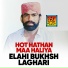 Elahi Bukhsh Laghari