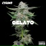 Cyrano