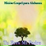 Misión Gospel para Alabanza