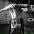 Serpente
