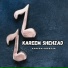 Kareem Shehzad