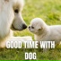 The Pluto